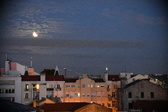 Enlarge photo 216