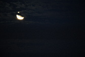 Enlarge photo 223