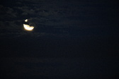 Enlarge photo 224