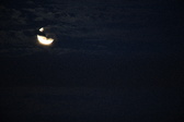 Enlarge photo 225