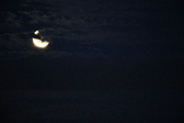 Enlarge photo 227