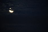 Enlarge photo 228