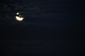 Enlarge photo 229