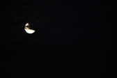 Enlarge photo 230