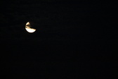 Enlarge photo 231