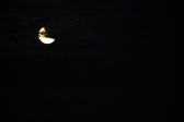 Enlarge photo 232