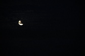 Enlarge photo 233