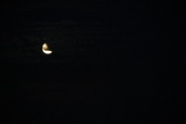 Enlarge photo 234