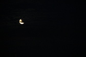 Enlarge photo 235