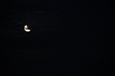 Enlarge photo 236