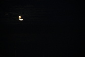 Enlarge photo 237