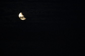 Enlarge photo 238