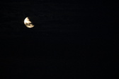 Enlarge photo 239