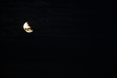 Enlarge photo 240
