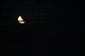 Enlarge photo 241