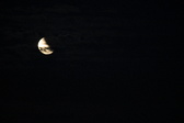Enlarge photo 242