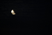 Enlarge photo 243