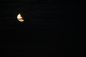 Enlarge photo 244