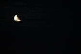 Enlarge photo 246