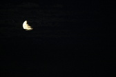 Enlarge photo 247