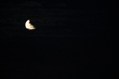 Enlarge photo 248