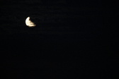 Enlarge photo 250