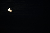 Enlarge photo 251