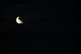 Enlarge photo 252