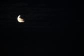 Enlarge photo 253