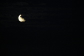 Enlarge photo 254