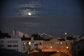 Enlarge photo 255