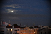 Enlarge photo 256