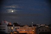 Enlarge photo 257