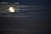 Enlarge photo 258