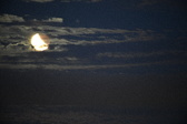 Enlarge photo 259