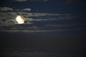 Enlarge photo 260