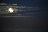 Enlarge photo 261