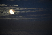 Enlarge photo 262