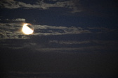 Enlarge photo 263