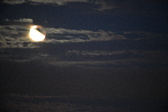 Enlarge photo 264