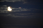 Enlarge photo 266