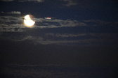 Enlarge photo 267