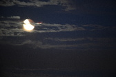 Enlarge photo 268