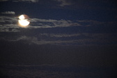 Enlarge photo 269