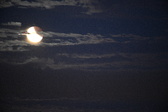 Enlarge photo 270