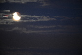 Enlarge photo 271