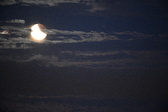 Enlarge photo 272