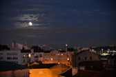 Enlarge photo 273