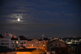 Enlarge photo 274