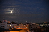 Enlarge photo 275